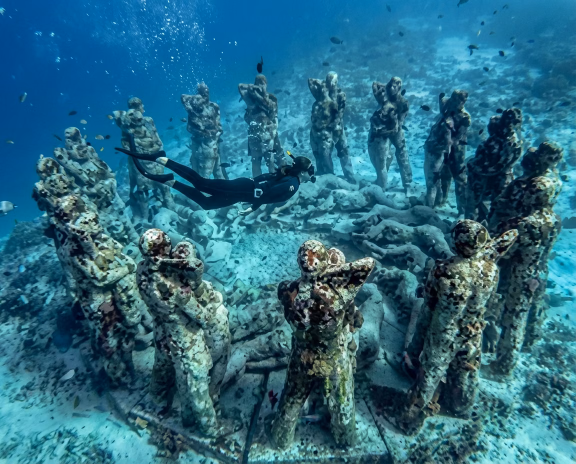 Snorkeling & Diving